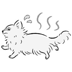 暑くて困った表情の犬のイラスト