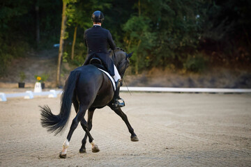 Horse dressage horse, photos of tournament in different hoof figures.