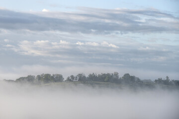 Fototapeta premium hill and trees in the mist
