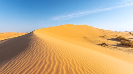 A vast, undulating desert landscape stretches under a clear blue sky, with a few sparse shrubs clinging to the sandy dunes.