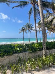Fototapeta premium Riviera Maya Beachfront