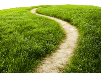 Dirt path through green grass landscape, cut out - stock png.