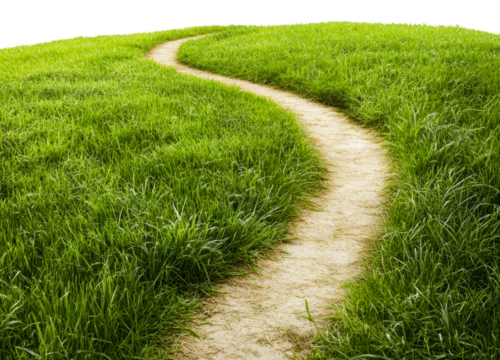 Dirt path through green grass landscape, cut out - stock png.