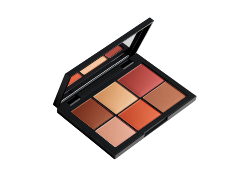Makeup Palette With Five Different Colors