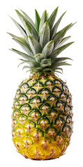 Fototapeta premium Pineapple with bright green leaves, cut out - stock png.