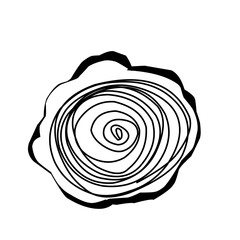 Tree trunk cross section