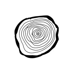 Tree trunk cross section