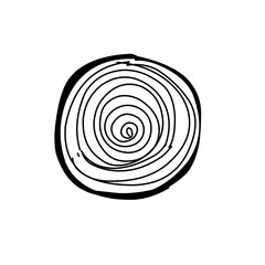 Tree trunk cross section