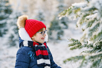 Small girl playing with snow. Happy preschool child in winter forest on snowy cold december day.