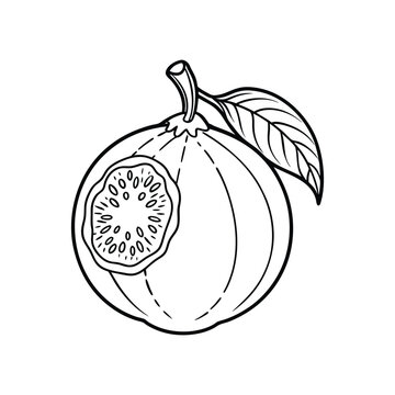 recommend clip art: Clean Guava Line Icon. Isolated Fruit Design for Web and Print