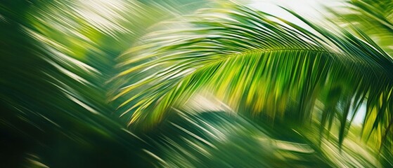 Abstract Green Palm Leaf with Blurred Background