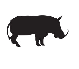 wild boar illustration