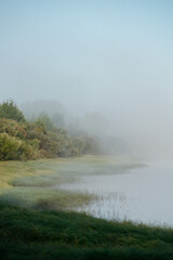 Morning fog in the river