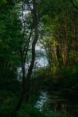 Obraz premium A narrow river channel.