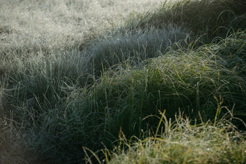 The first frosts.