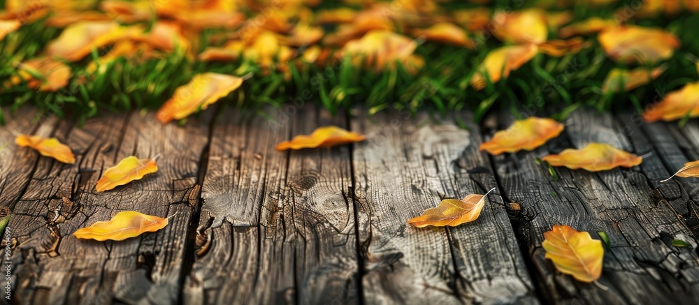 Poster Wooden copyspace with yellow leaves scattered on green grass