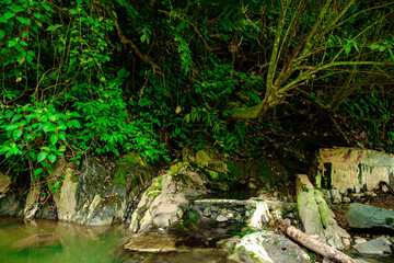 a refreshing spring for those who see it