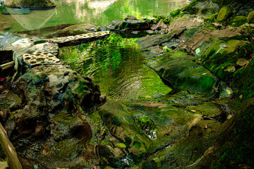 a refreshing spring for those who see it