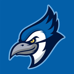 Blue jay mascot logo, featuring a fierce and determined bird with sharp eyes and beak.