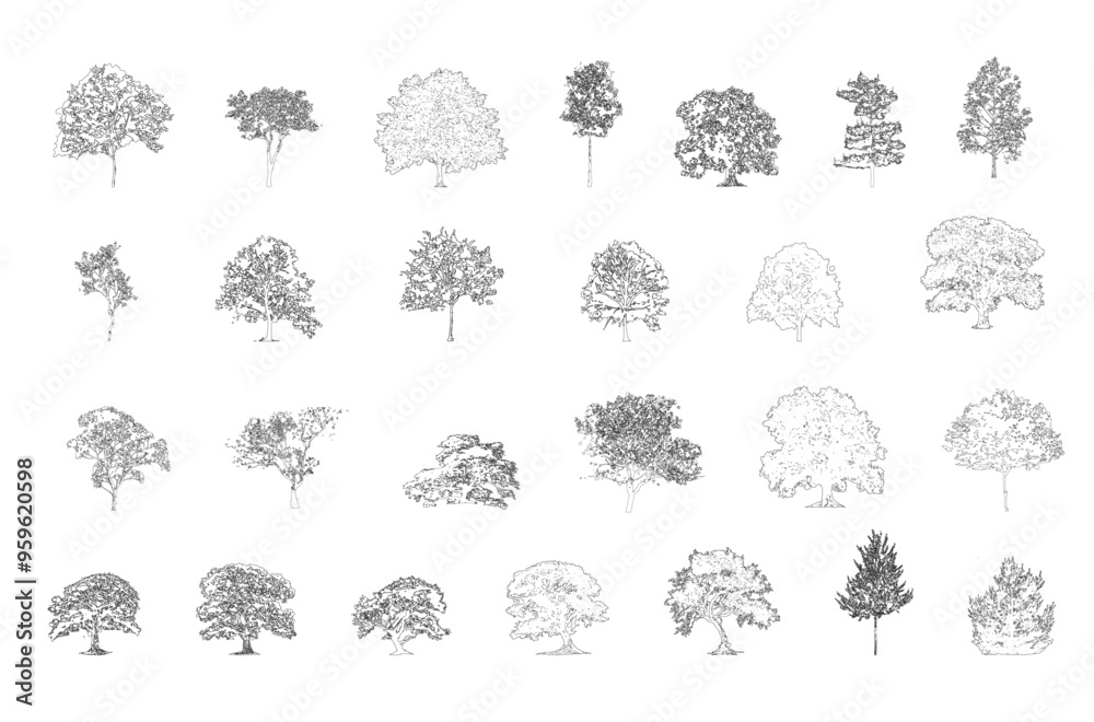 Poster Minimal style cad tree line drawing, Side view, set of graphics trees elements outline symbol for architecture and landscape design drawing. Vector illustration in stroke fill