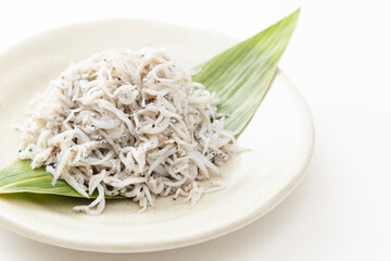 白背景に釜揚げしらす