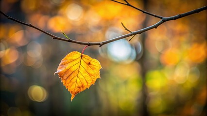 Obraz premium Close-up of a single leaf on a branch with blurred foreground leaves