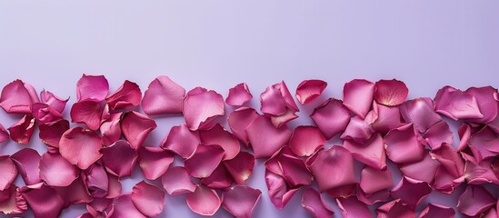 Fototapeta premium Frame borders made of rose petals against a pastel lilac background Valentine s Day backdrop Romantic atmosphere Textured design suitable for Women s or Mother s Day Copyspace