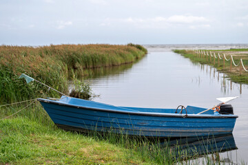 Obraz premium A blue boat rests on still water with lush green grass nearby under a clear sky.