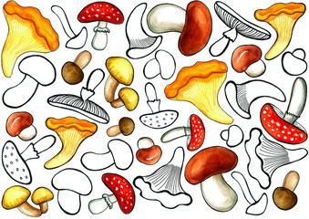 A set of different types of mushrooms. Black contour drawing or with watercolor filling. Different shapes and sizes. Chaotically located on a white background. Mushrooms, chanterelles, boletus, etc.