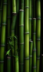 Fototapeta premium Background green bamboo wood, natural texture.