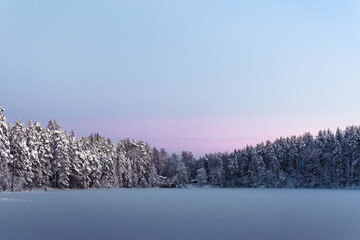 winter landscape with pink sunset in national Park in Nuuksio, Finland