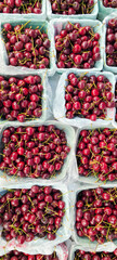 Baskets of fresh, dark red cherries displayed at a market stall