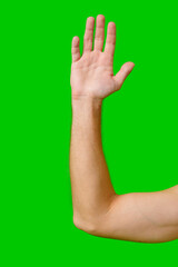 Hand Raised in a Gesture of Greeting Against a Bright Green Background