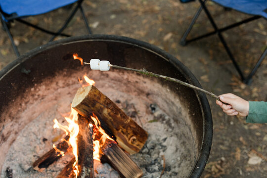Roasting marshmallows over a campfire with a stick