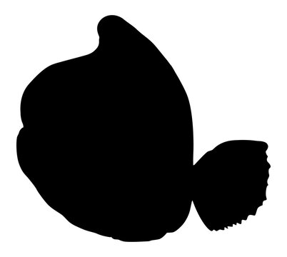 recommend clip art: Silhouette of the Humphead wrasse (Cheilinus undulatus), also known as the Māori wrasse, Napoleon wrasse, Napoleon fish. Flat Style, can use for Logo Gram, Animal Illustration, Pictogram, ect