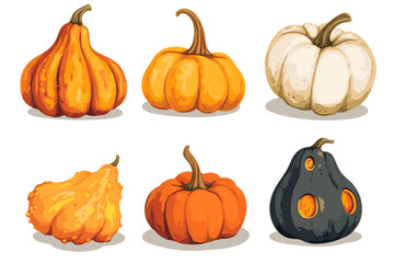Set of simple autumn pumpkin. Hand drawn pumpkin squash in warm natural fall colors isolated on white. Vector illustration - autumn themes, Halloween
