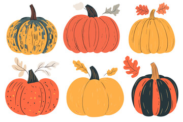 Set of simple autumn pumpkin. Hand drawn pumpkin squash in warm natural fall colors isolated on white. Vector illustration - autumn themes, Halloween