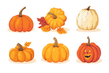 Set of simple autumn pumpkin. Hand drawn pumpkin squash in warm natural fall colors isolated on white. Vector illustration - autumn themes, Halloween