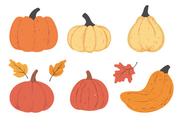 Set of simple autumn pumpkin. Hand drawn pumpkin squash in warm natural fall colors isolated on white. Vector illustration - autumn themes, Halloween