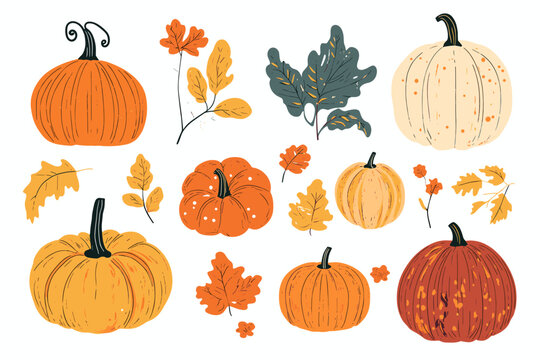 Set of simple autumn pumpkin. Hand drawn pumpkin squash in warm natural fall colors isolated on white. Vector illustration - autumn themes, Halloween