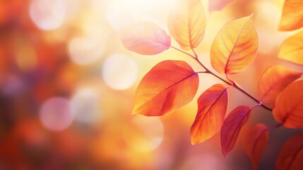 Close-up of delicate, bright red leaves with a blurred background.