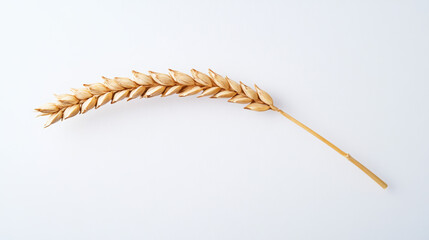 A single stalk of wheat, with its grains, is shown against a plain white background. This image is perfect for packaging designs.