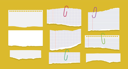 Set of paper different tears scraps isolated on white background