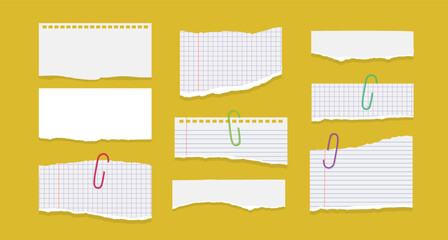 Set of paper different tears scraps isolated on white background