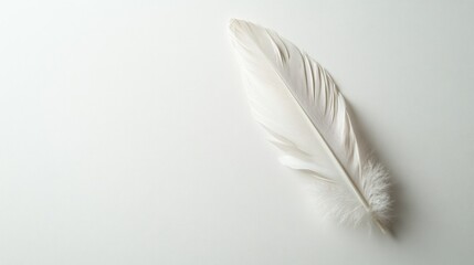 Naklejka premium Single White Feather on Light Background