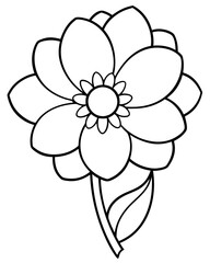 Anemone flower outline black and white cute coloring pages