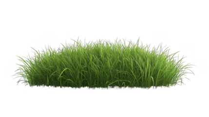 Lush green grass patch isolated transparent background
