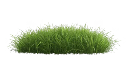Lush green grass patch isolated transparent background