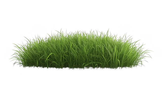 Lush green grass patch isolated transparent background
