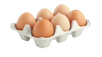 Fresh brown eggs in carton isolated transparent background